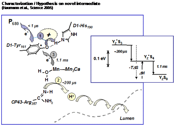 tech_mat_fig_5