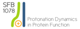 Proteinfunktion durch Protonierungsdynamik (SFB 1078)
