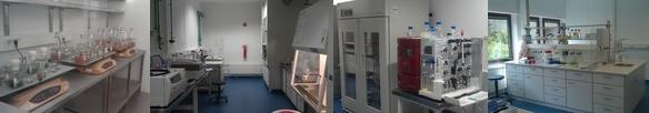 laborbilder584x102