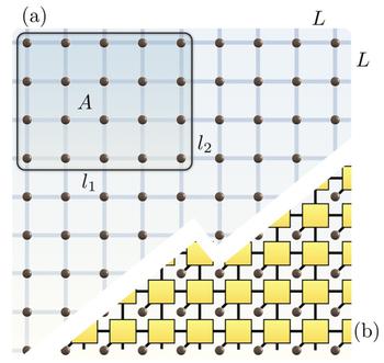 Area laws for entanglement entropies providing insights into the "physical corner" that can be well approximated by tensor network states