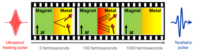 Figure: Watching the ultrafast spin Seebeck effect