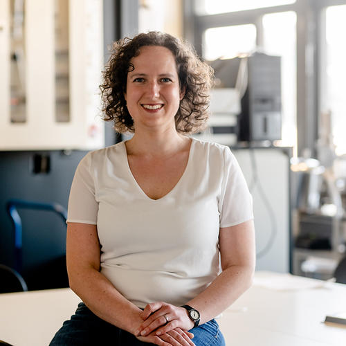 Prof. Dr. Anna Boehmer