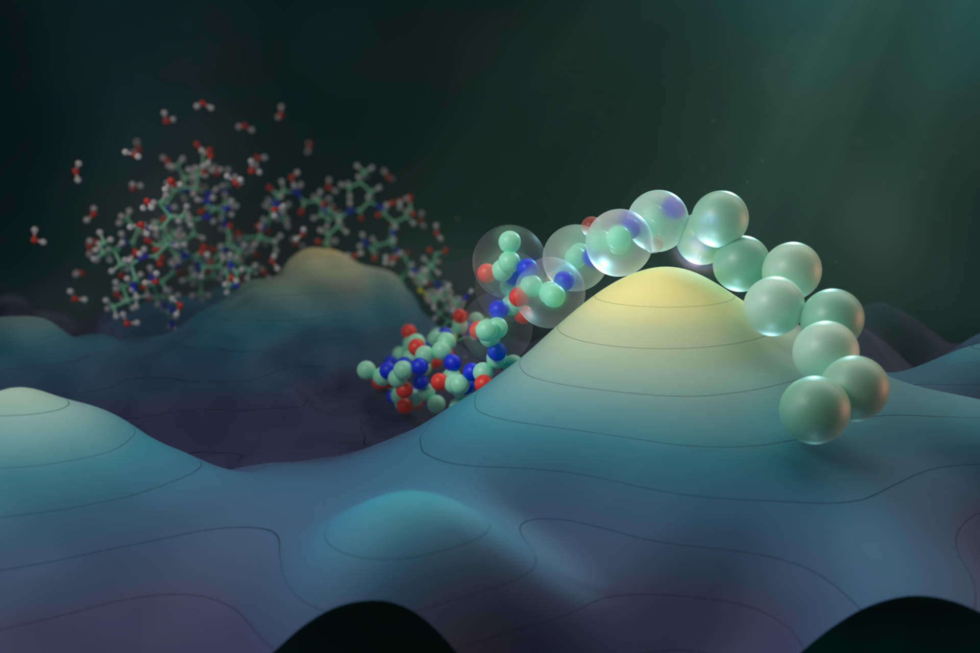 Cecilia Clementi: Publikcation in Nature Chemistry