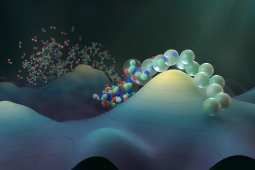 Cecilia Clementi: Publikcation in Nature Chemistry