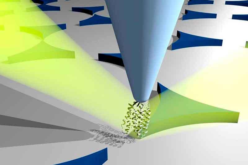 Nanoskopische Untersuchung eines einzelnen Proteins, AG Heberle