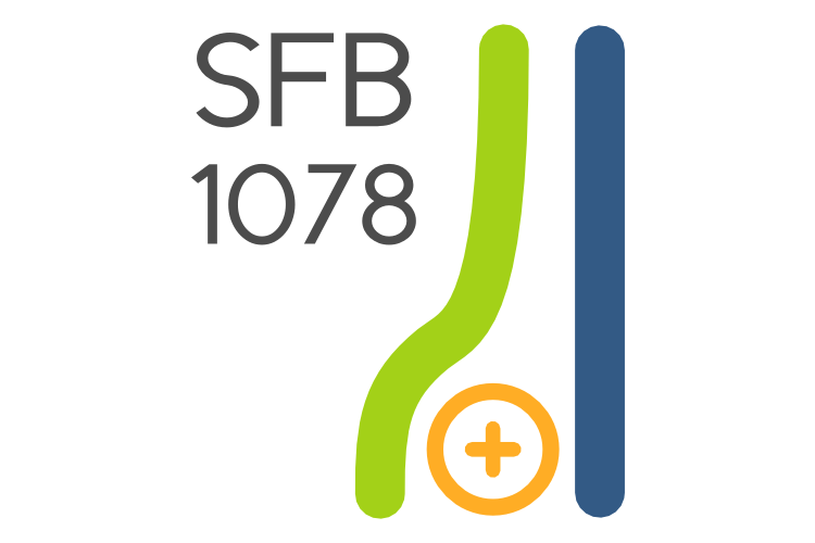 SFB 1078