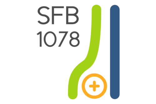 SFB 1078