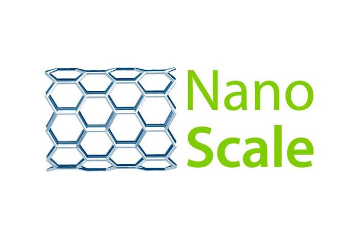 Focus Area NanoScale