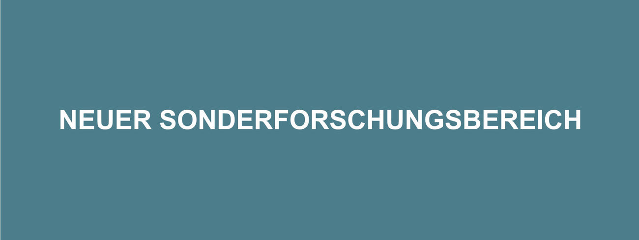 Grafik Slider Neuer SFB