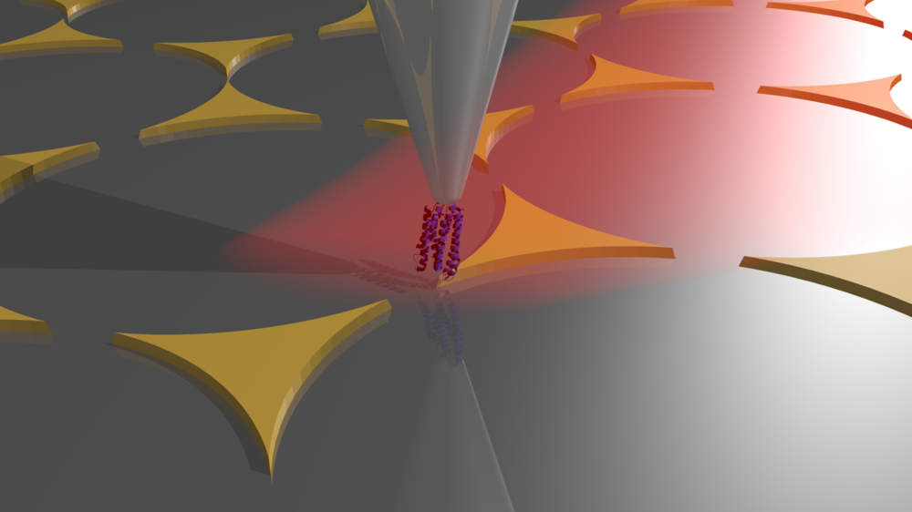 Single molecule IR spectroscopy