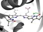 Phytochrome binding pocket