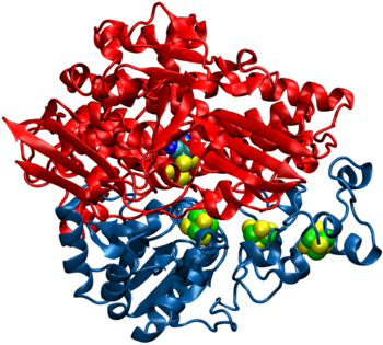 Figure 1: Structure of a [NiFe] hydrogenase.