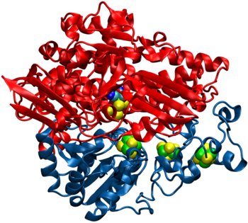 Abbildung 1: Struktur einer [NiFe] Hydrogenase.