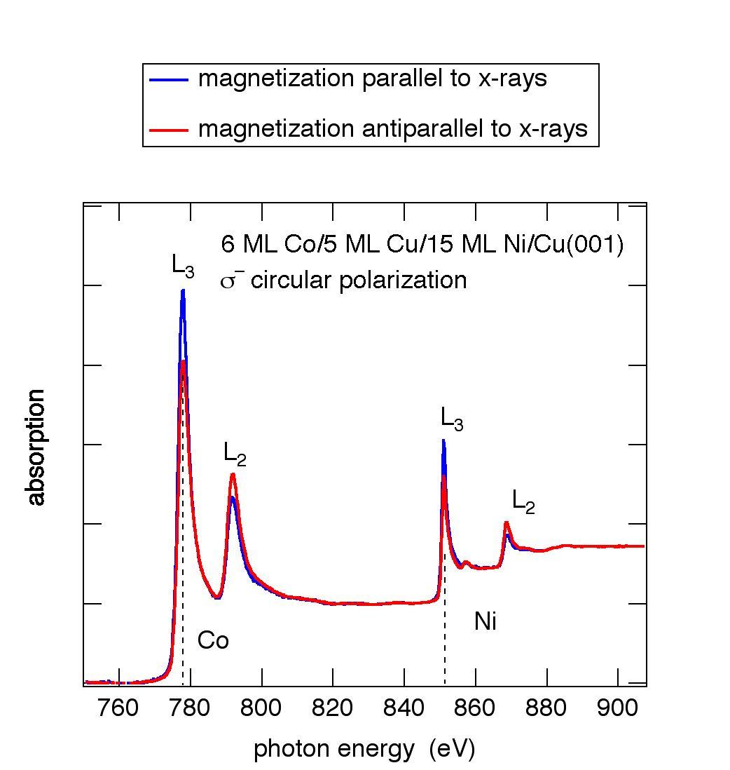 XMCD spectra