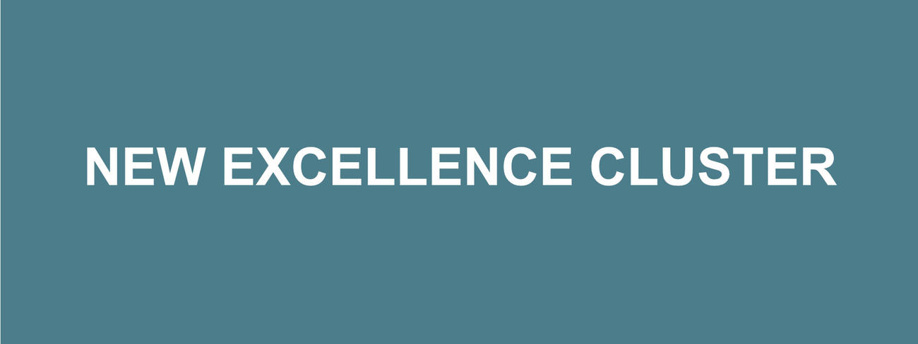 New Excellence Cluster