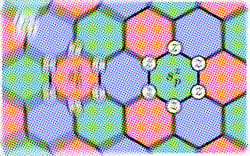 Research on quantum information theory and quantum many-body theory.