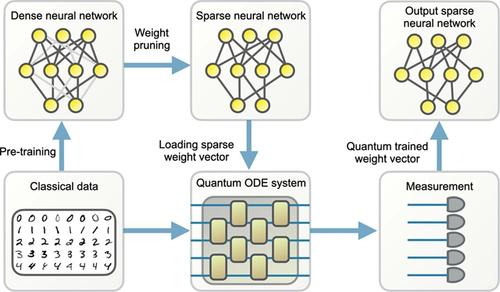 A dense neural network is pre-trained classically and trained quantumly.