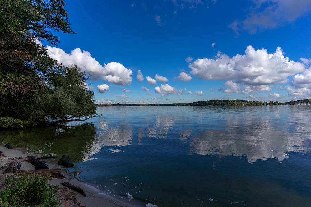 The view from Peacock Island.