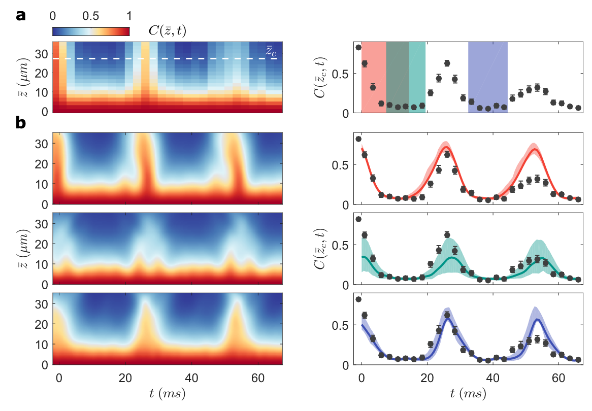 Quantum read-out in quantum simulators