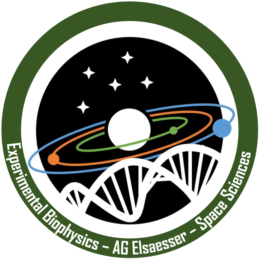 Logo AG AE