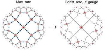 A visualization of the gauge-fixing procedure for an Evenbly code.