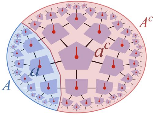 Bulk and boundary bipartition in a holographic tensor-network code.