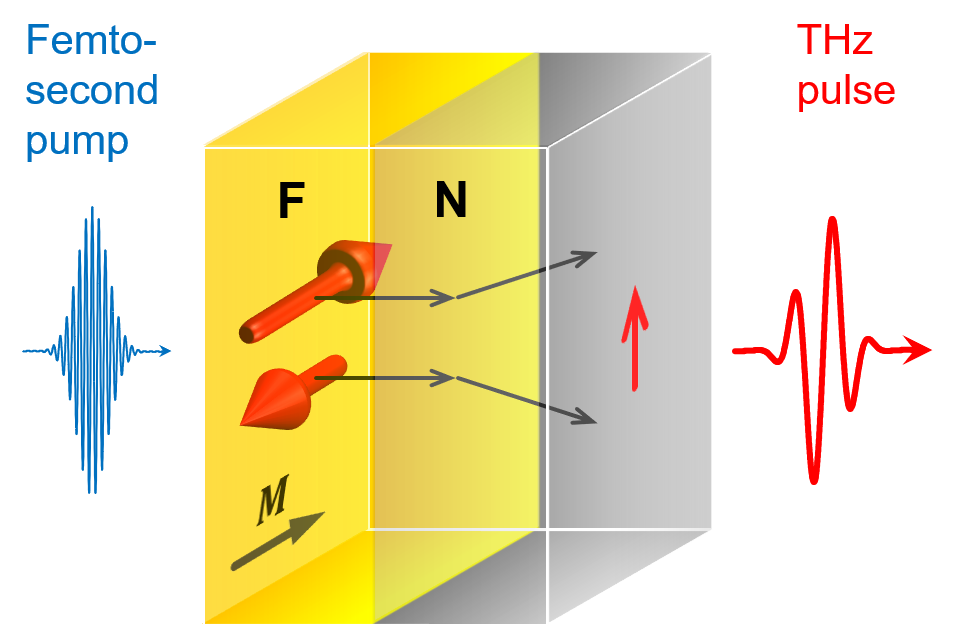 Fig1_STE