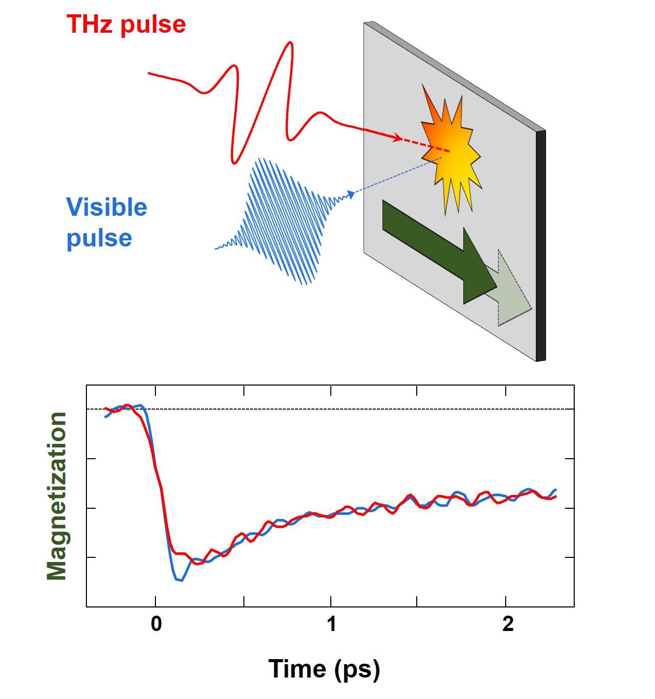 Fig_PRX_MagnetizationQuenching