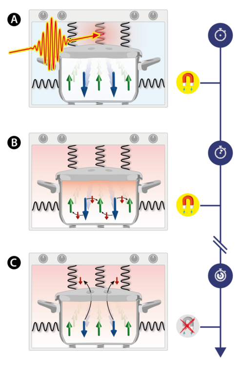 Figure: Heating a magnet without changing its magnetization