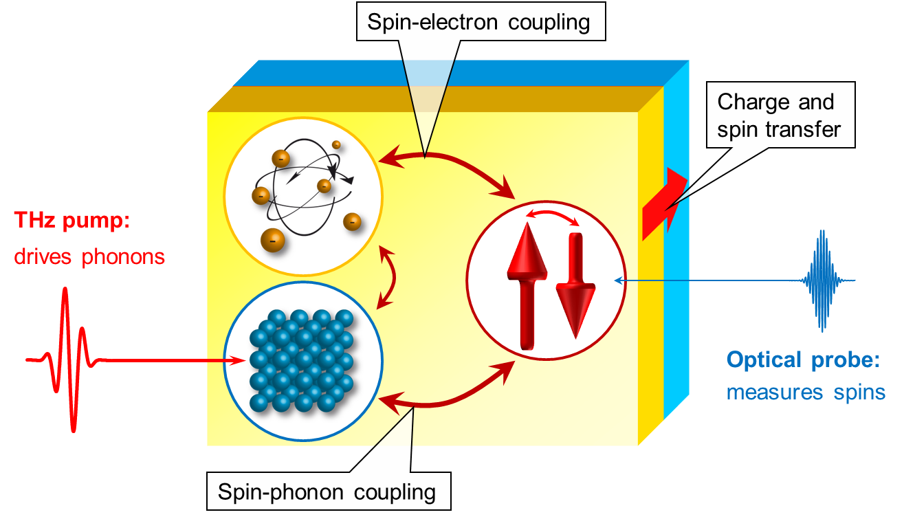 Figure1: Coupling mechanisms to reveal ultrafast elementary processes in condensed matter