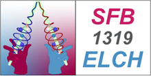 Collaborative Research Center 1319 Extreme light for sensing and driving molecular chirality 