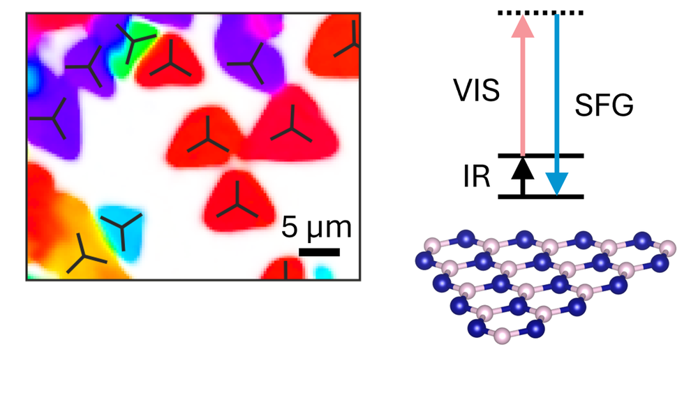 NonlinearImaginghBN