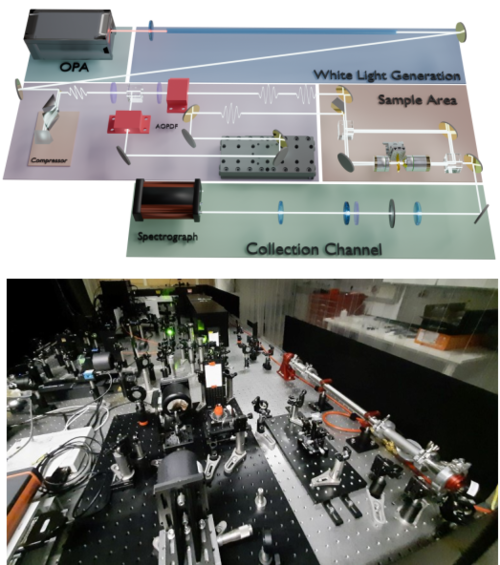 Scheme of our coherent two-dimensional spectroscopy experiment, and how it looks in the lab