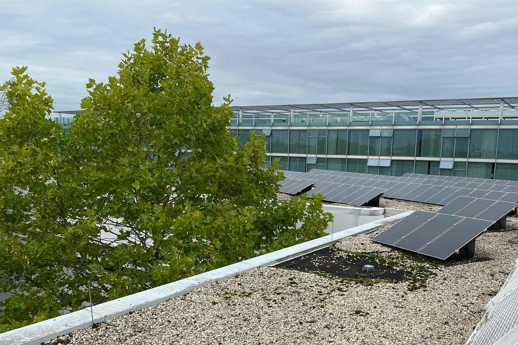 Solar panels on the roof of the department