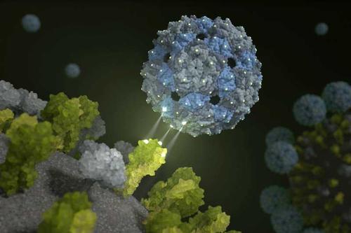 Phage capsid against influenza: perfectly fitting inhibitor prevents viral infection
