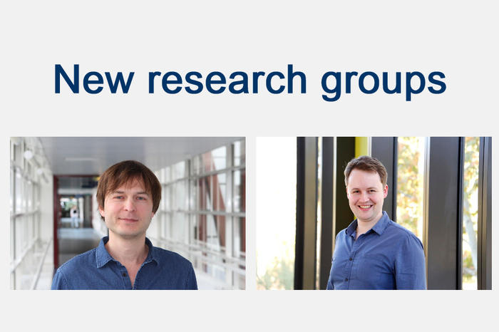 New theoretical research groups