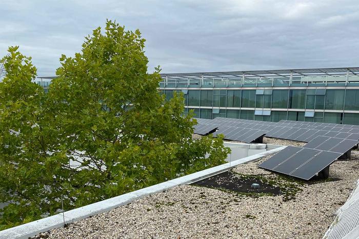 Solaranlage auf dem Dach des Fachbereichs