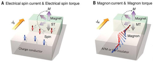 Two types of spin-angular-momentum-transfer torque