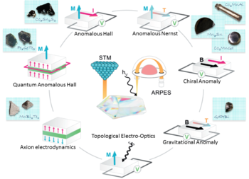 Charakteristische Effekte in topologischen Materialien