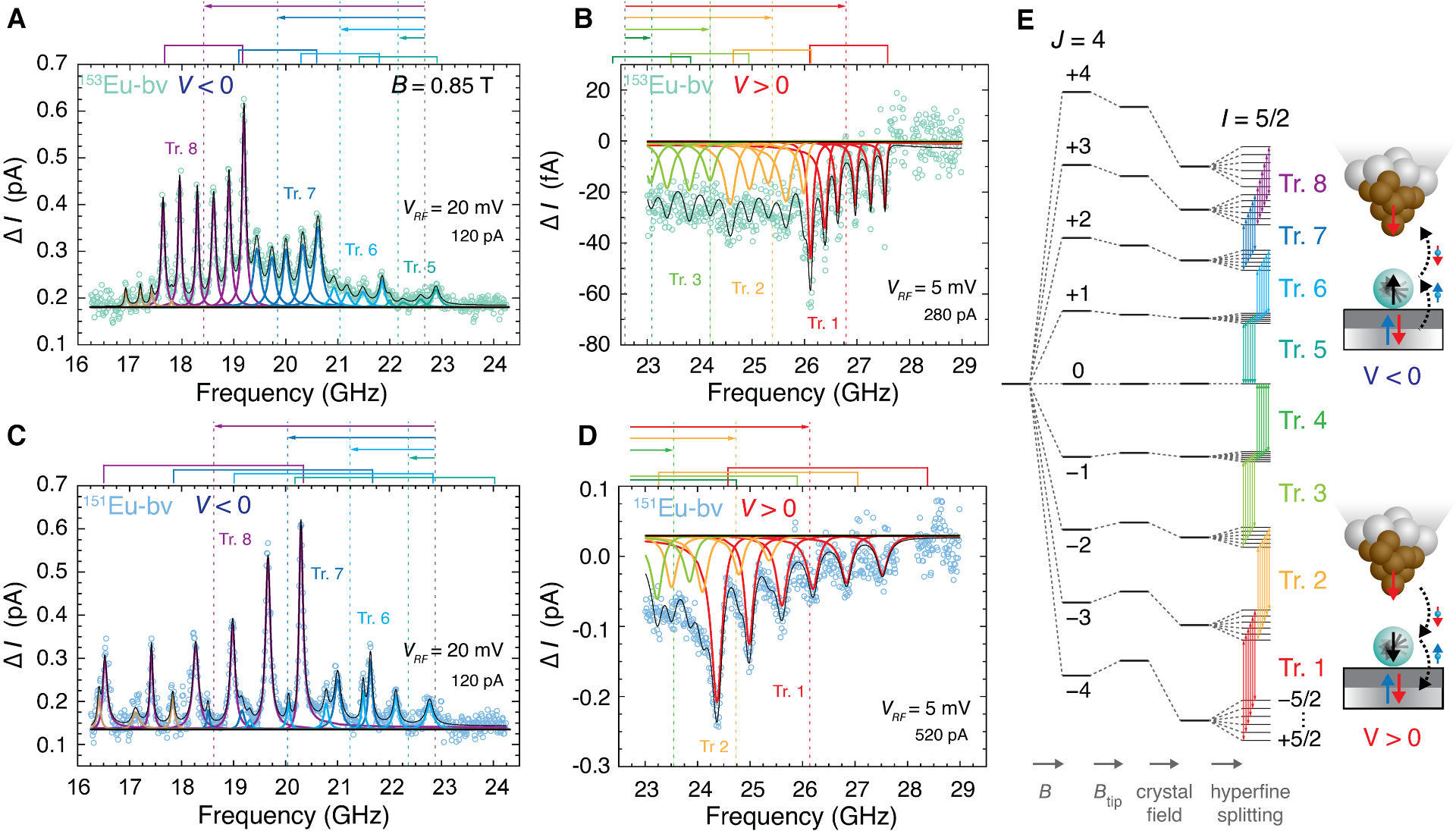 Magnetism of Adatoms – from Storage to Qubits