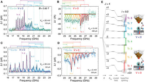 Magnetism of Adatoms – from Storage to Qubits