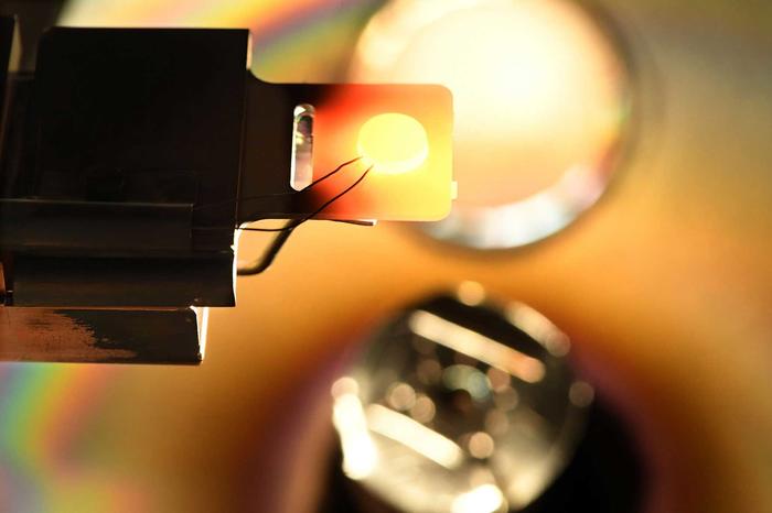 FU Berlin Physik Forschung