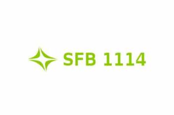 SFB 1114 - Skalenkaskaden in komplexen Systemen