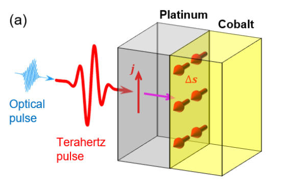 A spintronic terahertz-wave detector