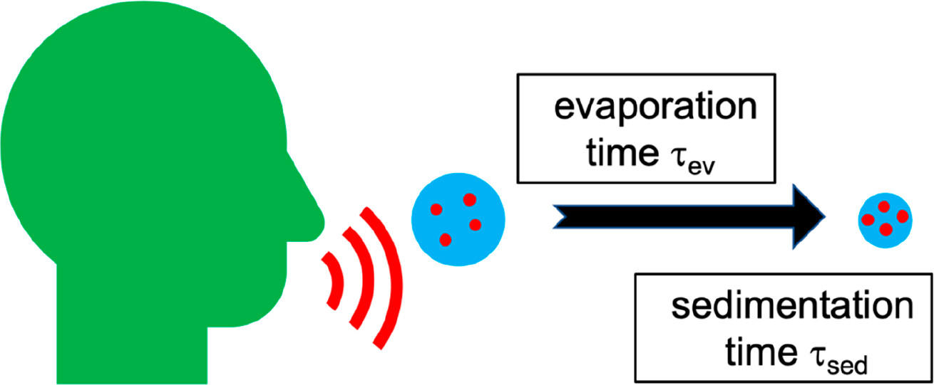 Mechanisms of airborne infection via evaporating and sedimenting droplets produced by speaking