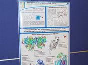 SFB 1078 "Proteinfunktion durch Protonierungsdynamik" stellt seine Themen und Forschungsergebnisse vor.